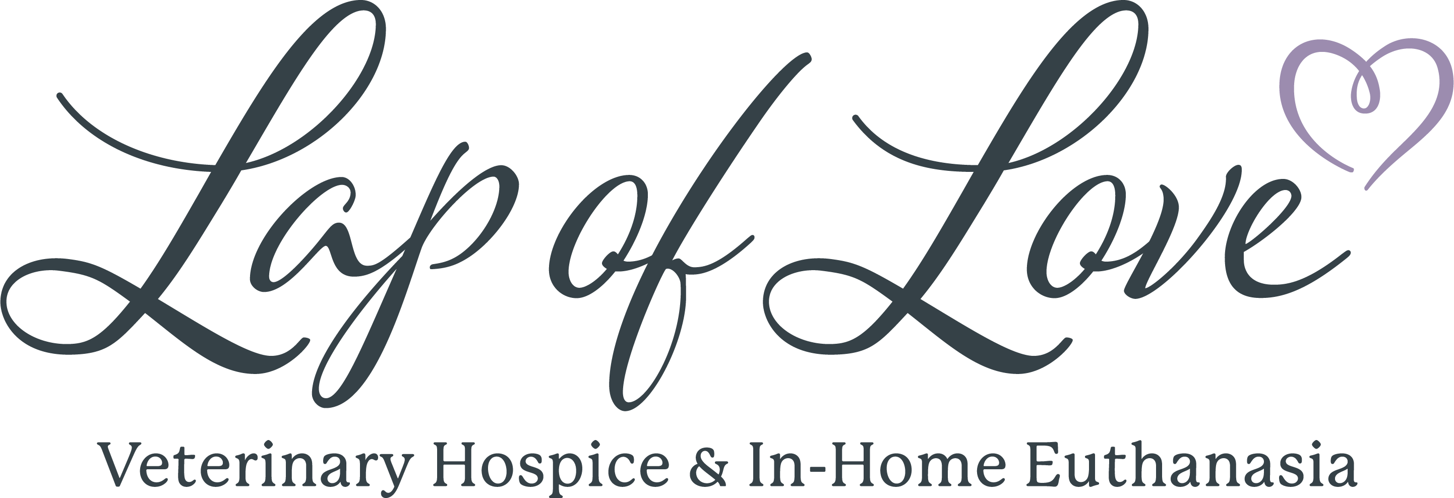 What Is Cat Hospice Care Understanding End of Life Care for Cats PetMD